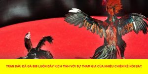 Kinh Nghiệm Chơi Đá Gà 888 Dễ Thắng