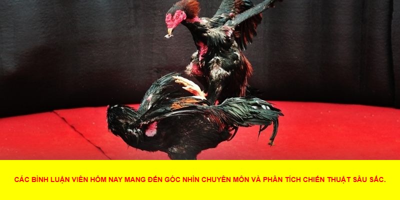 Lợi Ích Khi Theo Dõi Đá Gà Trực Tiếp Bình Luận Viên Hôm Nay