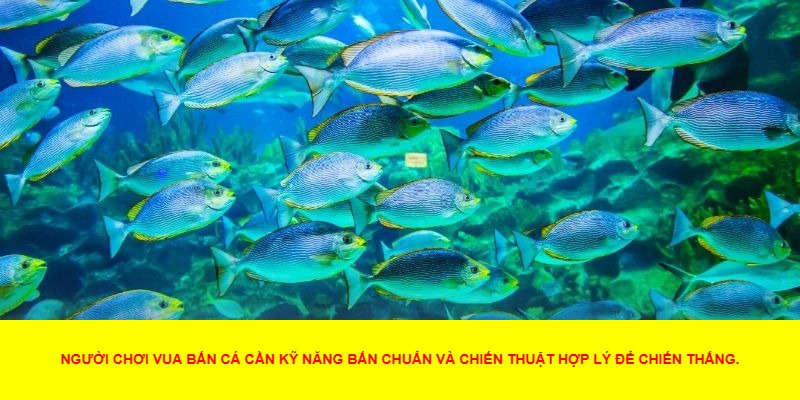 Giới Thiệu Về Vua Bắn Cá