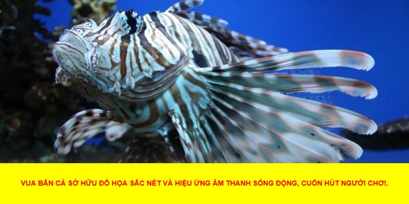 Giải Trí Thư Giãn Sau Những Giờ Làm Việc Căng Thẳng