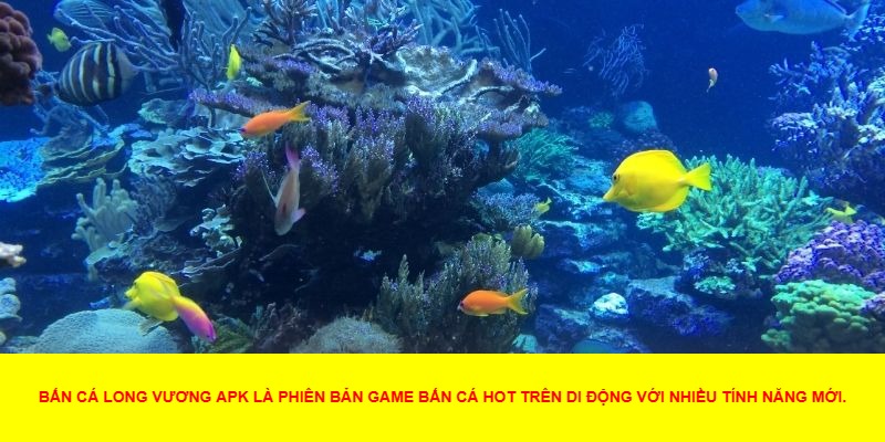 Khám Phá Bắn Cá Long Vương APK