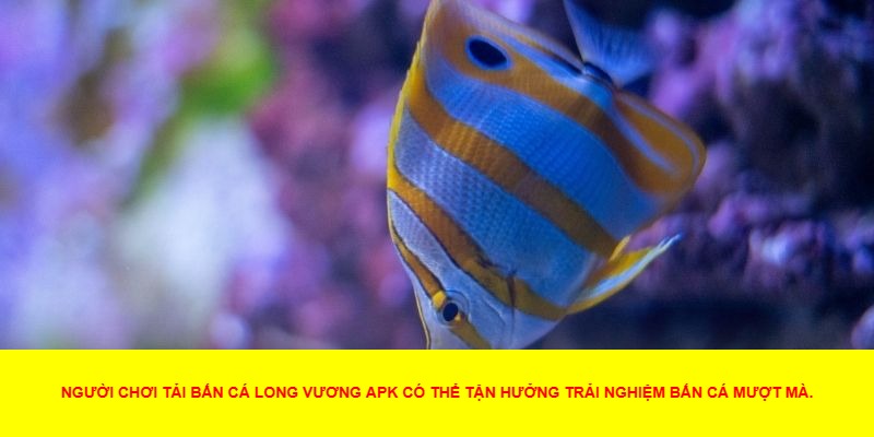 Cách Tải Và Cài Đặt Bắn Cá Long Vương APK
