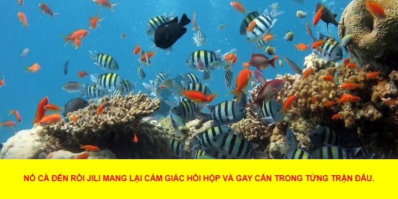 Kinh Nghiệm Chơi Nổ Cá Đến Rồi JILI