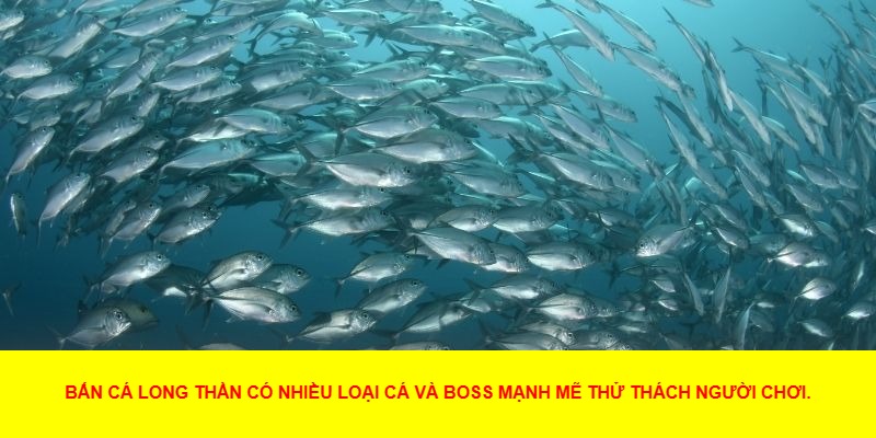 Đặc Điểm Nổi Bật Của Bắn Cá Long Thần