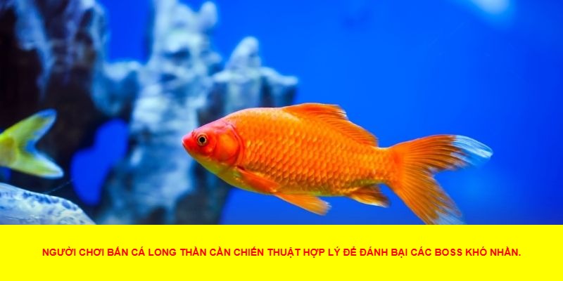 Cách Thức Chơi Bắn Cá Long Thần
