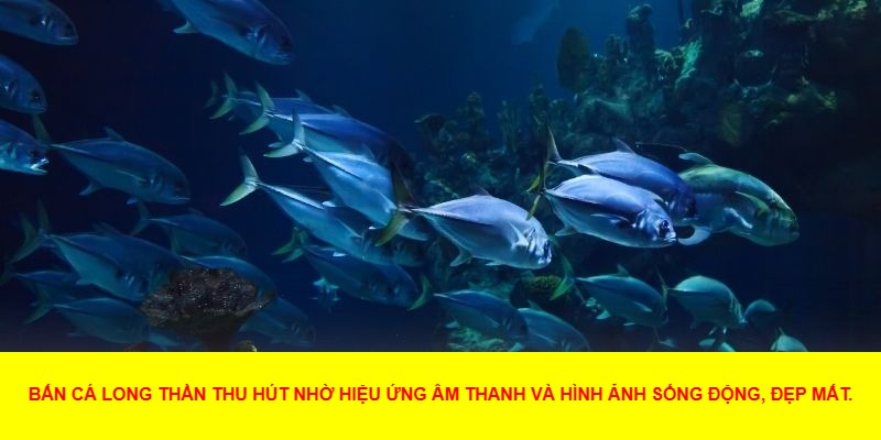 Lợi Ích Khi Chơi Bắn Cá Long Thần
