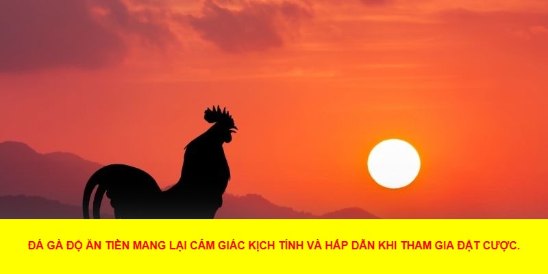 Cách Thức Cá Cược Trong Đá Gà Độ Ăn Tiền