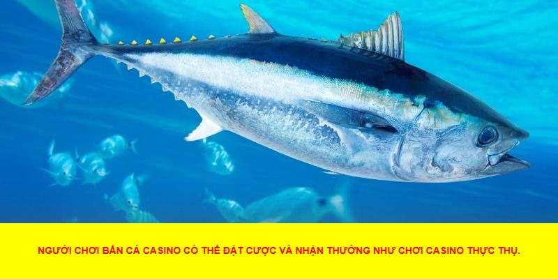 Các Tính Năng Nổi Bật Của Bắn Cá Casino
