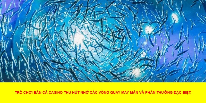 Lợi Ích Khi Tham Gia Bắn Cá Casino