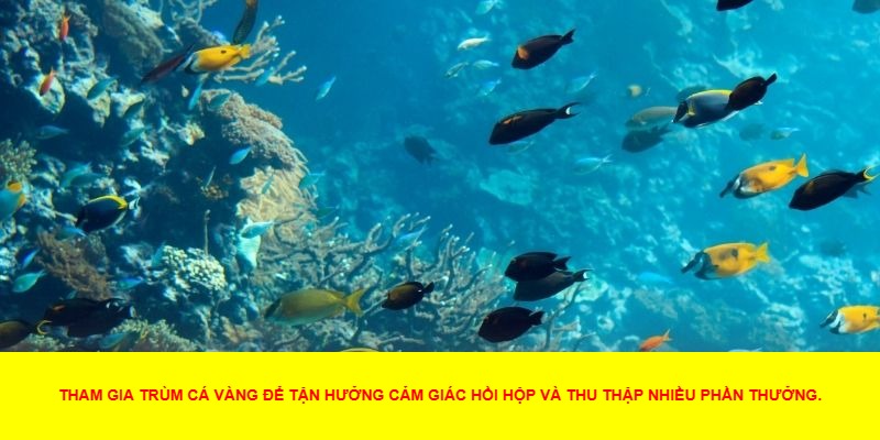 Cách Chơi Trùm Cá Vàng Hiệu Quả