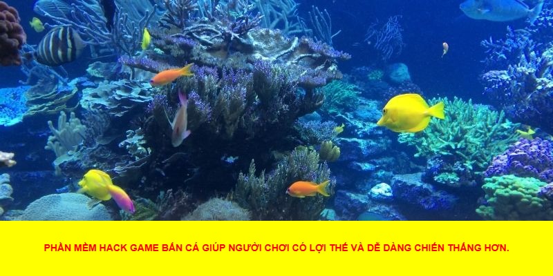 Phần Mềm Hack Game Bắn Cá Là Gì
