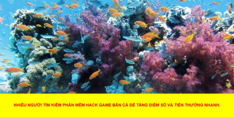 Các Loại Phần Mềm Hack Game Bắn Cá Phổ Biến