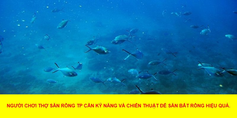 Điểm Nổi Bật Khi Trải Nghiệm Thợ Săn Rồng TP