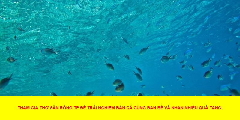 Hướng Dẫn Cách Chơi Thợ Săn Rồng TP Hiệu Quả