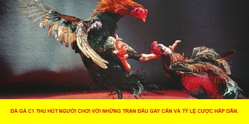 Hướng Dẫn Tham Gia Đá Gà C1 An Toàn Và Hiệu Quả
